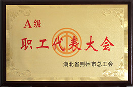 荊州市總工會(huì)授予我司荊州市“A級(jí)職工代表大會(huì)”的稱號(hào)