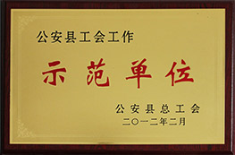 2011年度公安縣工會(huì)工作示范單位