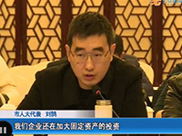 董事長劉鵠在市人大會(huì)議上發(fā)言